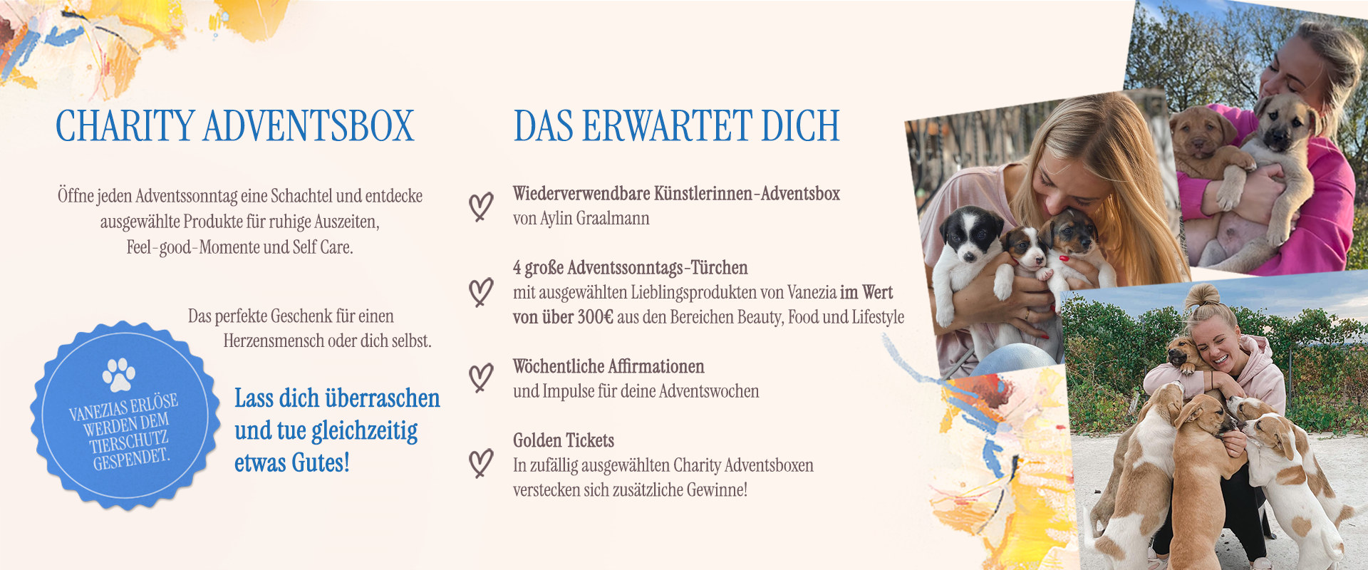 Charity Adventsbox: Das erwartet dich, Vanezias Erloese werden dem Tierschutz gespendet